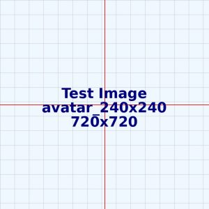 test ticket2